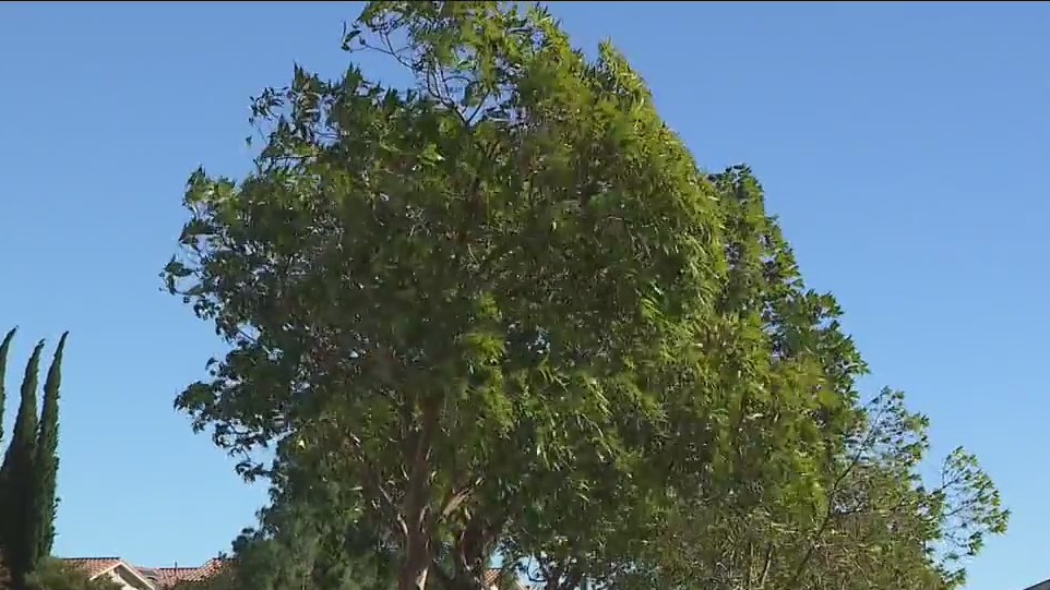 Winds, fire danger high in LA County